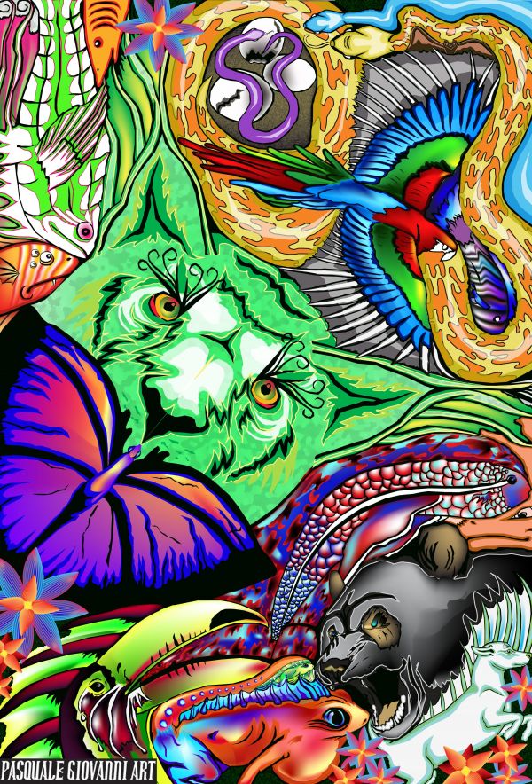 Original "Tropical Rainforest" Print by Pasquale Giovanni